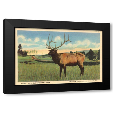 Elk I Crop Black Modern Wood Framed Art Print by Wild Apple Portfolio