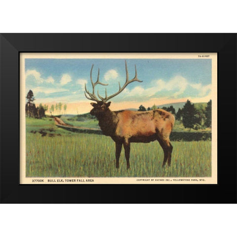 Elk I Crop Black Modern Wood Framed Art Print by Wild Apple Portfolio