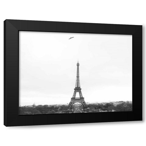 A Birds View of Paris Black Modern Wood Framed Art Print by Larson, Nathan