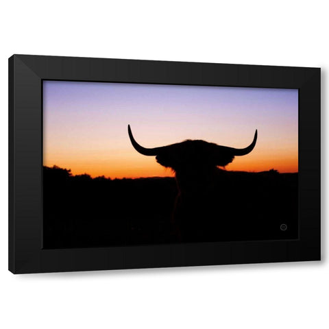 Bull Set Black Modern Wood Framed Art Print by Larson, Nathan