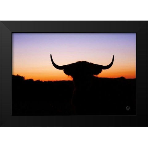 Bull Set Black Modern Wood Framed Art Print by Larson, Nathan