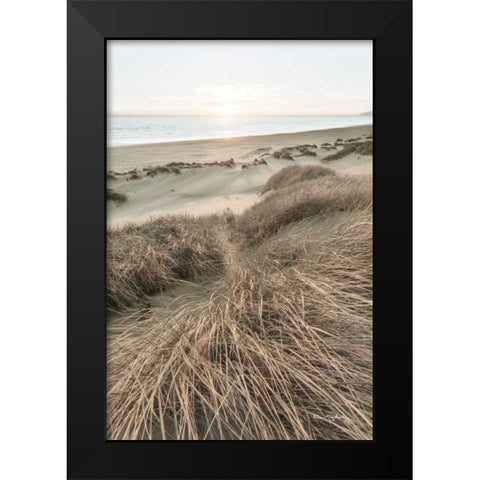 Beach Grasses Black Modern Wood Framed Art Print by Majchrowicz, Alan
