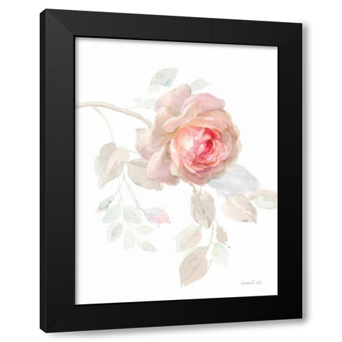 Gentle Rose I Black Modern Wood Framed Art Print with Double Matting by Nai, Danhui