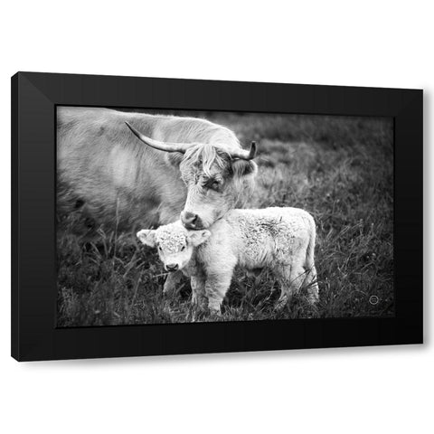 Cow Care Black Modern Wood Framed Art Print by Larson, Nathan
