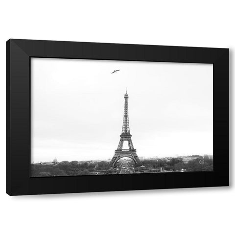 A Birds View of Paris Crop I Black Modern Wood Framed Art Print by Larson, Nathan