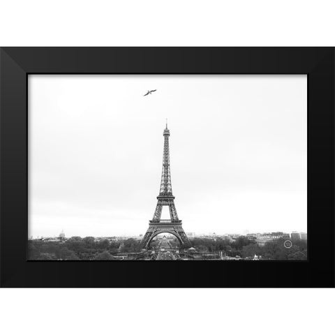 A Birds View of Paris Crop I Black Modern Wood Framed Art Print by Larson, Nathan