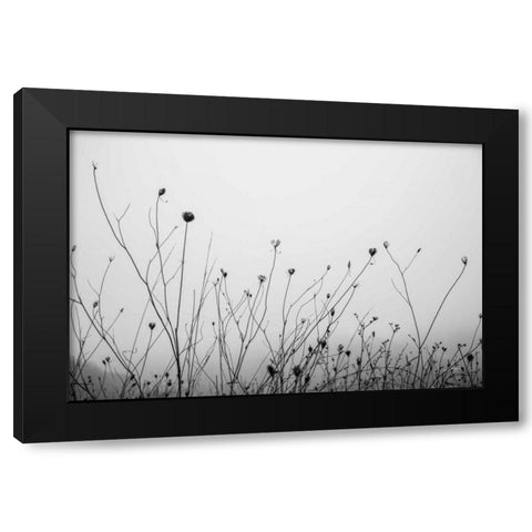 Autumn Grasses Black Modern Wood Framed Art Print with Double Matting by Aledanda