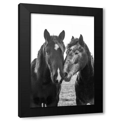 Good Friends Mane Black Modern Wood Framed Art Print with Double Matting by Aledanda