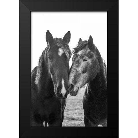 Good Friends Mane Black Modern Wood Framed Art Print by Aledanda
