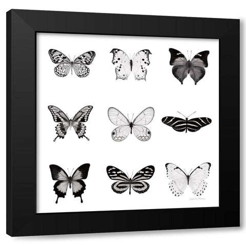 BW Butterfly Chart Black Modern Wood Framed Art Print with Double Matting by Van Swearingen, Debra