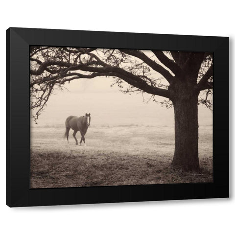 Hazy Horse I Black Modern Wood Framed Art Print with Double Matting by Van Swearingen, Debra