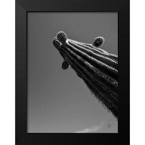 King II Black Modern Wood Framed Art Print by Larson, Nathan