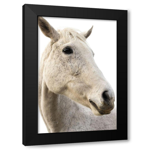 A Horse Named Lady II Black Modern Wood Framed Art Print by Schlabach, Sue