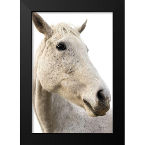 A Horse Named Lady II Black Modern Wood Framed Art Print by Schlabach, Sue