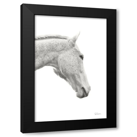 A Horse Named Lady I BW Black Modern Wood Framed Art Print with Double Matting by Schlabach, Sue