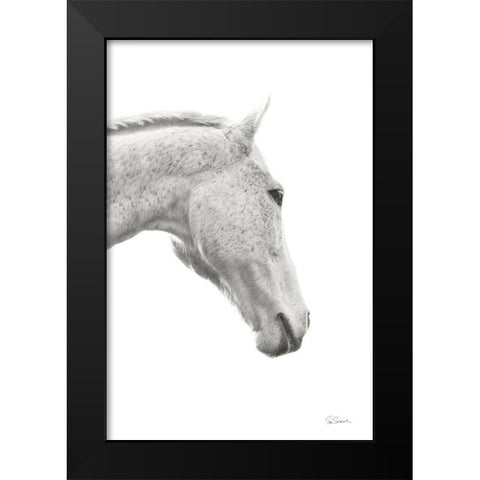 A Horse Named Lady I BW Black Modern Wood Framed Art Print by Schlabach, Sue