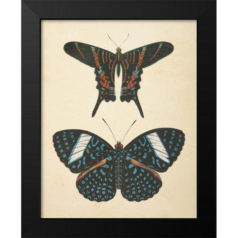 Papillons II Black Modern Wood Framed Art Print by Wild Apple Portfolio