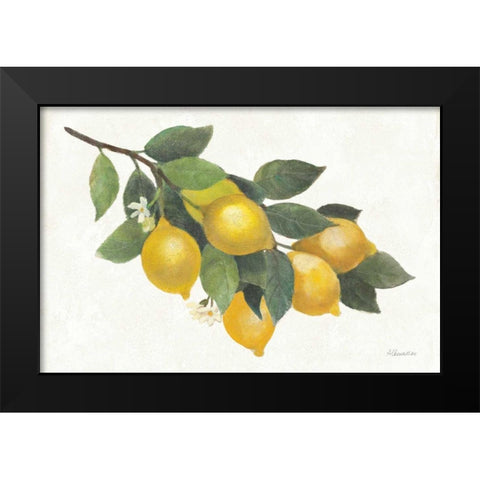 Lemon Branch I Black Modern Wood Framed Art Print by Hristova, Albena