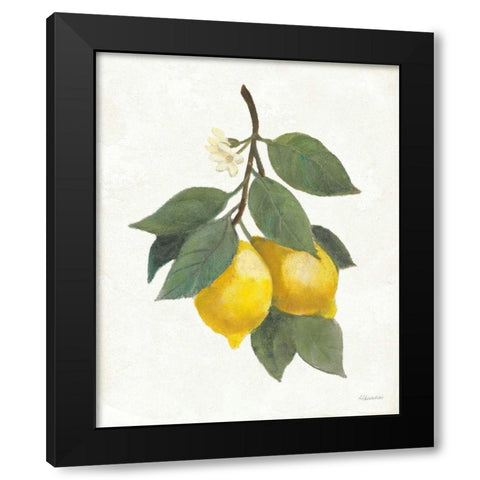 Lemon Branch II Black Modern Wood Framed Art Print with Double Matting by Hristova, Albena