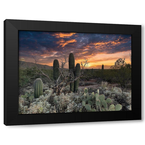 Sunset Moonrise Black Modern Wood Framed Art Print by Larson, Nathan
