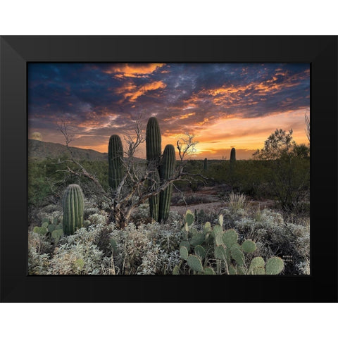 Sunset Moonrise Black Modern Wood Framed Art Print by Larson, Nathan