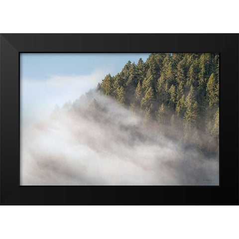 Fog and Forest I Black Modern Wood Framed Art Print by Majchrowicz, Alan