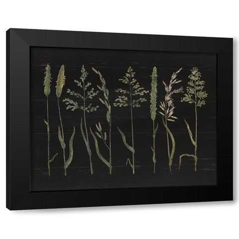 Herbal Botanical VII Black Wood No Words Black Modern Wood Framed Art Print with Double Matting by Wild Apple Portfolio