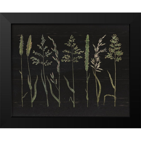 Herbal Botanical VII Black Wood No Words Black Modern Wood Framed Art Print by Wild Apple Portfolio