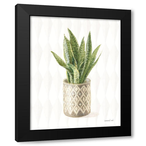 Desert Greenhouse XVI Black Modern Wood Framed Art Print by Nai, Danhui