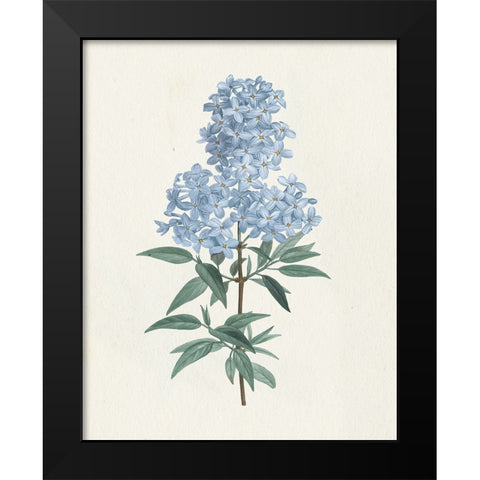 Victorian Garden Flowers III Blue Black Modern Wood Framed Art Print by Wild Apple Portfolio