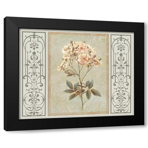 Heritage Roses I Black Modern Wood Framed Art Print by Chilton, Sarah E.