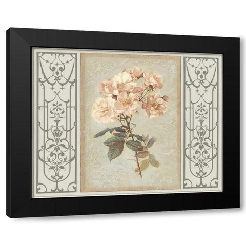 Heritage Roses II Black Modern Wood Framed Art Print by Chilton, Sarah E.
