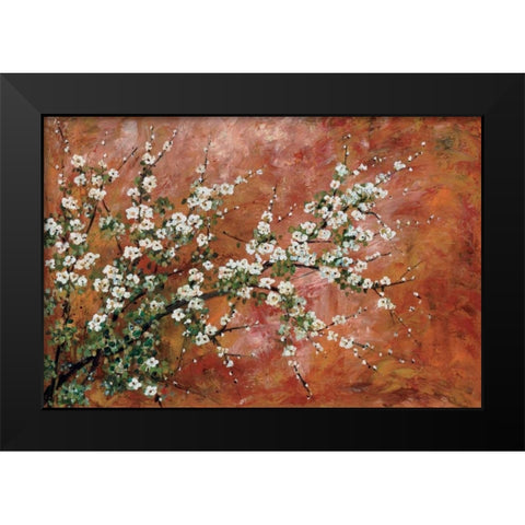 Wild Plum Blossoms Black Modern Wood Framed Art Print by Alexander, Zachary