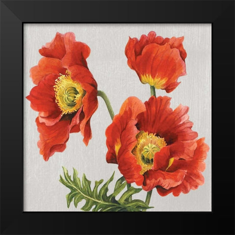 Poppies on Silk Black Modern Wood Framed Art Print by Shelby, Judy