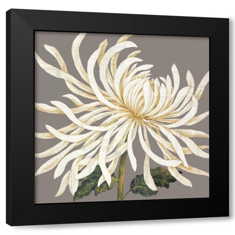 Glorious Whites I Black Modern Wood Framed Art Print with Double Matting by Shelby, Judy