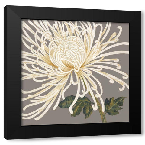 Glorious Whites II Black Modern Wood Framed Art Print with Double Matting by Shelby, Judy