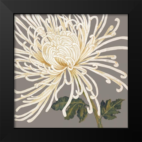 Glorious Whites II Black Modern Wood Framed Art Print by Shelby, Judy