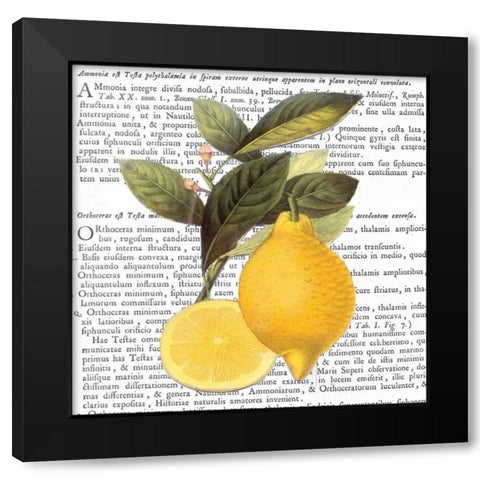 Citrus Edition I Black Modern Wood Framed Art Print with Double Matting by Bannister, Cory