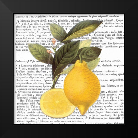 Citrus Edition I Black Modern Wood Framed Art Print by Bannister, Cory