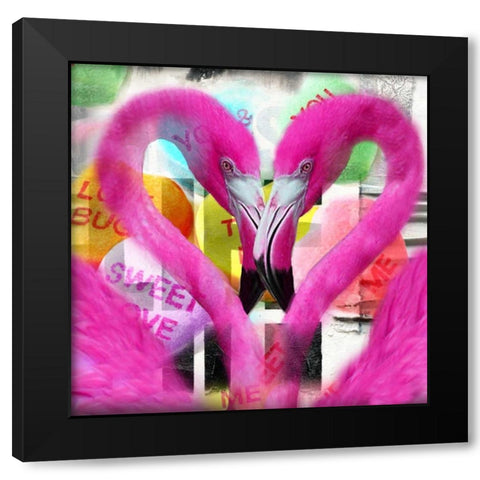 Flamingo Black Modern Wood Framed Art Print with Double Matting by de Haas, Mascha