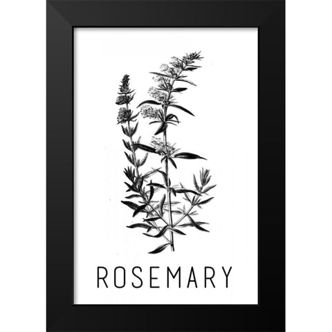 Rosemary Black Modern Wood Framed Art Print by Waltz, Anne