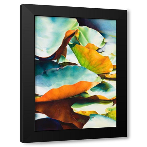 Nymphea 3 Black Modern Wood Framed Art Print by Koch, Angelika