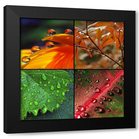 Diamanten des Lebens Black Modern Wood Framed Art Print with Double Matting by Laimgruber, Dagmar