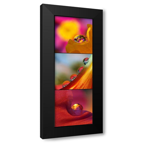 Jeux des Boules II Black Modern Wood Framed Art Print by Laimgruber, Dagmar