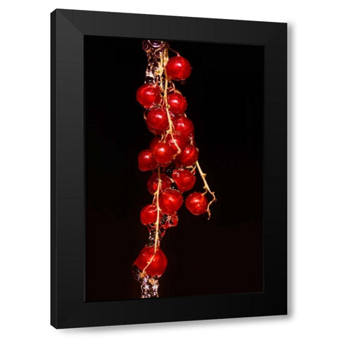 Johannisbeere Black Modern Wood Framed Art Print by Riedt, Kirsten