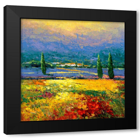 Provene II Black Modern Wood Framed Art Print by Madjid