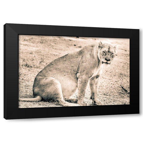 Liom-Mom Black Modern Wood Framed Art Print with Double Matting by Seifinger, Toby