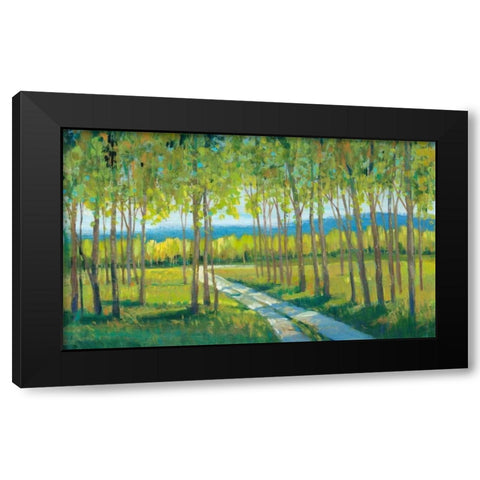 Morning Stroll II Black Modern Wood Framed Art Print with Double Matting by OToole, Tim