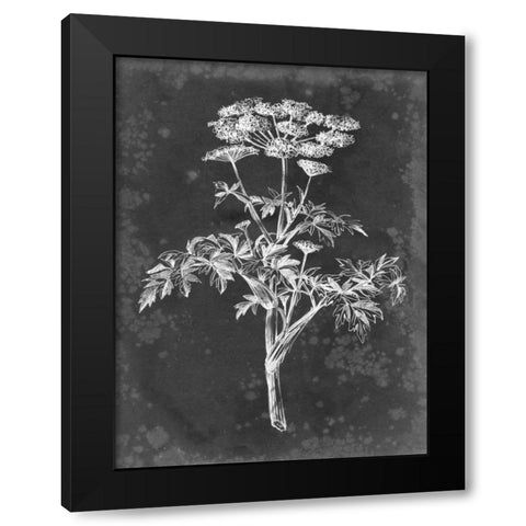 Slate Floral II Black Modern Wood Framed Art Print with Double Matting by Harper, Ethan