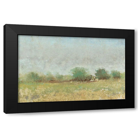 Spring Field II Black Modern Wood Framed Art Print by OToole, Tim